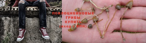 а пвп мука Балабаново