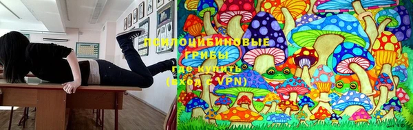 а пвп мука Балабаново