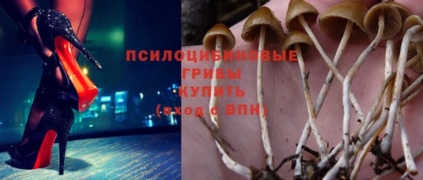стафф Балахна